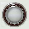 170 mm x 310 mm x 52 mm  CYSD NUP234 roller bearing